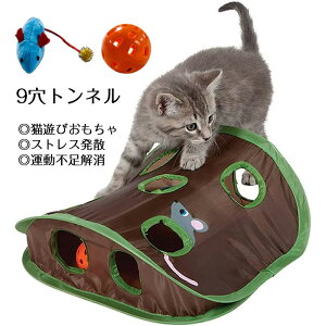 ylCizL  gl 9 LV  ^  lV XgXU ^s ΍ }EXngڃQ[ ybg B L C^NeBu ybg