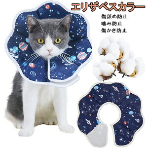 yN[|ő1000~OFFzGUxXJ[ Lp ^p p㏝ی rߖh~ ~h~ FfUC  L ybg y _炩 炩 ی p 킢  ӂӂ