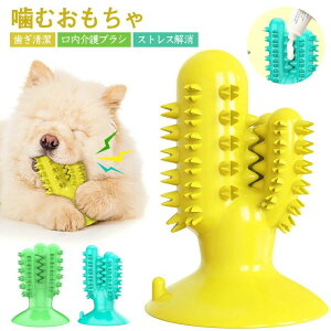 p puV a  ̎uV ̊ނ puV Pߋ ϋv  ̕aCh~ o邨 ybg CΏ