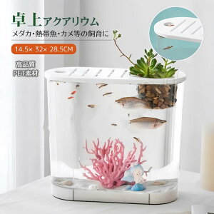 ylCiz ^  ANAE   ϗtA _J Ϗ܋ 琬 e  T ANAE Zbg Mы _J