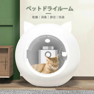 ylCizybg @ ybg  @ {bNX ybg{bNX ybg hCnEX  ybg@  L XbL }P[X[ É Â I[V[Y