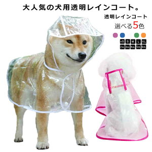 yN[|ő1000~OFFzpCR[g ^ ^ C|` CEFA t[ht Xqt ^  ybg ~J J΍ S U J Ck hbO DOG |