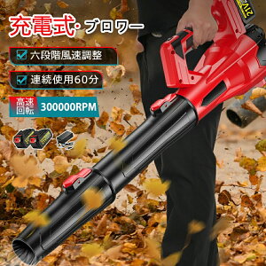 y11477~9481~ 17%OFF 9/11܂Łzu[  [du[  R[hX uA[ ^ y dCGA_X^[ {^[{WFbgt@ 750m/s 300000rpm ] 21V}L^