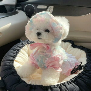 ylCiz  hX Xq ԂтhX Xqʔ u[ sN zCg s[X EFA ̕ 킢  Y   hbOEFA  j L ^ p