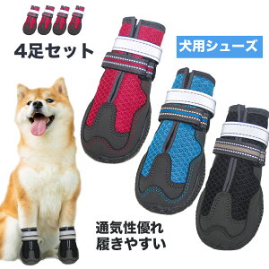 ylCiz C C ̌C hbOV[Y veNV V[Y V[g   VjA PA ^ ^ 4Zbg OG-K526 \tg ی h X|[c 