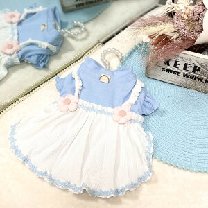 yBLACK FRIDAYN[|z ~  ~ 킢 ~p hX yt[ ł ^ p ̕ 킢 O{^ OJ  hbOEFA  s[Xz@sN u