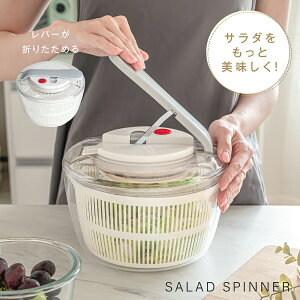 【大人気商品】サラダスピナー 水切り器 レバーがおりたためる 野菜水切り器 ボウル 一人暮らし 回転 コンパクト 小さめ ざる 丸型 ふた 蓋付き 時短