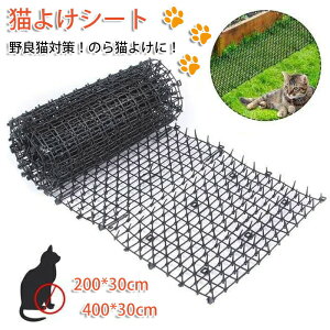 �y��l�C���i�z�L�悯�V�[�g �L�悯 2m×30cm 4m×30cm �˂� ���� �L���� �L�悯�΍� ��ǔL�΍� �g�Q�g�Q �V�[�g �v���X�`�b�N �x�����_ �H�� �Ԓd �K�[�f�j���O �� �K�[�f�� ���O ��ǔL �N���h