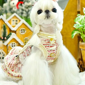   킢 IV nhCh hX  ̕   ₷  킢 U   j̎q ̎q IX X ^ ^ 