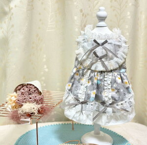 ylCiz  킢 hX p[eB[hX O[ ԕ  L EFA ̕ 킢  Y  hbOEFA ybg j ^   s[X