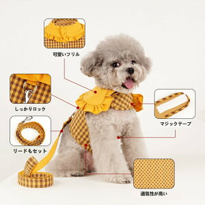 ylCizpn[lX   킢 ̕ n[lX yȒPz    ̎q j̎q U ł E ȒP Ȃ y`FbNz ^ ^  