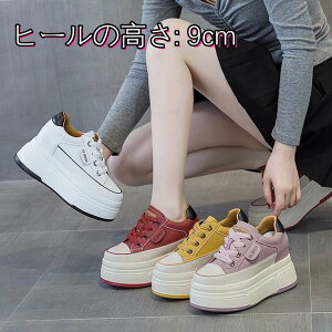 yBLACK FRIDAYN[|z[XAbvV[Y [JbgXj[J[ fB[X C EH[LOV[Y jO WMO X|[cV[Y tbgC JWA ʊwC 