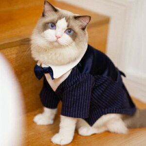【大人気商品】猫服 タキシード ペット服 犬服 ストライプ ドッグウェア 長袖 犬服 猫服 ペット用品 フォーム チワワ 柴犬 挙式 ペット服 猫服 犬服 洋服 スーツ フォーマル 猫犬兼用 新郎 お
