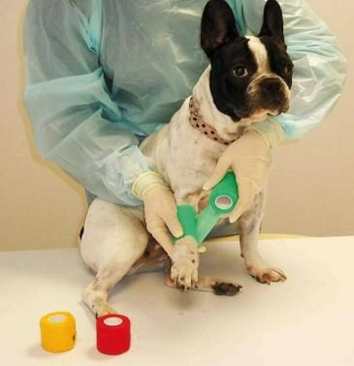 楽天市場 バラ売り 犬 猫 ペット 用品 グッズ おもちゃ ペットグッズ バンテージ 粘着包帯 Strap Band ストラップバンド 毛にくっつかない 粘着テープ 老犬 介護 排泄 床ずれ 怪我予防 フェレット ウサギ 体調管理 バンドエイド 傷口保護 テーピング 医療 介護用品