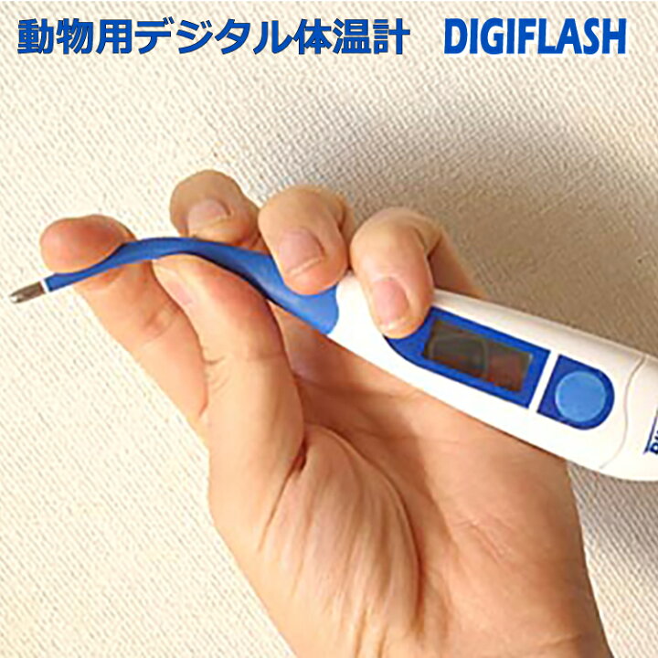 楽天市場 1年保証 動物用 体温計 犬 猫 いぬ ねこ ペット デジタル 体温計 Digiflash デジフラッシュ 健康管理 ネコ うさぎ 老犬 動物用体温計 体調管理 用品 グッズ ペットグッズ 老犬 介護 フェレット 防水 メモリー機能 おすすめ 犬用体温計 医療 介護用品の