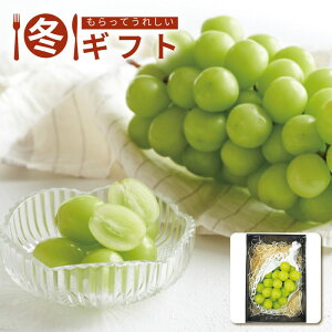 Ε 2025 쌧YVC}XJbgԂǂ HOK ʏ`Ղ ①ۑ 荂 }} ~Mtg[J[iłB