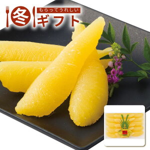 Ε 2025 ̎qC̍K  Mtg  l ~Mtg[J[iłB