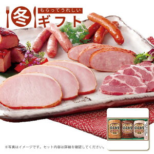 Ε  |Cg10{ i11/20܂ŁjΕ 2025 ɓn `MtgZbgɓn [Xn zCgn ē ܂ ~Mtg[J[iłB