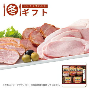 【30日限定最大500円OFFクーポン配布中♪】お歳暮 2025 匠伝説ギフトセット高級感 ハム 贈答用 詰め合わせ おつまみ 冬ギフト※メーカー直送品です。
