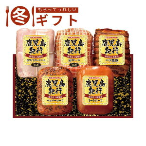 yő11%OFFN[|zzI11/1`3撅11zΕ 2025 Is IsMtgZbgv}n zCg[X [X ē ybp[[t ~[g[t p j 