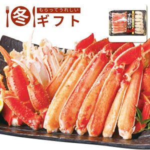 ԑY{C킢ɃJbgCY ~  VՂ T_ j v[g j Ԃ LOi ii p̏i̓[J[iłB