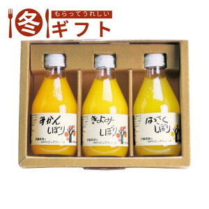 y30ő500~OFFN[|zzzΕ 2025 ɓ_ 100sAW[Xlɓ_ a̎RYk Y 肽Ė킢 ݔ ~Mtg