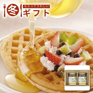 Ε 2025 Rc{I YI2{Zbg#o*R̕Sԕ 120g×2r p Hp fU[gp ~Mtg