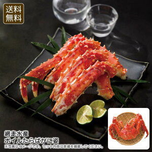 ԑY{C΂Ɏpґ CY  ĂȂ p[eB[ j v[g j Ԃ LOi ii p̏i̓[J[iłB