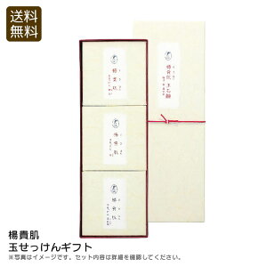 y|Cg5{/ő25%OFFN[|zzzҏ菤i kMʂMtgbNX A} VR XLPA Mtg j v[g j Ԃ LOi 