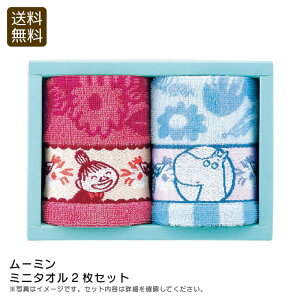 【30日限定最大500円OFFクーポン配布中♪】<ムーミン>ミニタオル2枚セット北欧 タオル おしゃれ かわいい ギフト お祝い プレゼント 内祝い お返し 記念品 景品 自宅用