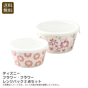 fBYj[t[Et[WpbN2_Zbge[uEFA  ԕ { Mtg j v[g j Ԃ LOi ii p