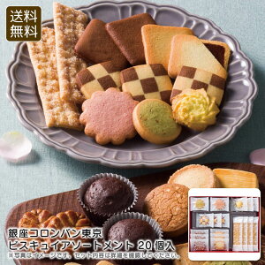 y30ő500~OFFN[|zzzRorXLCA\[gg 20 XC[c Mtg  ґ j v[g j Ԃ LOi ii 