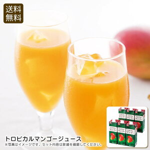 gsJ}S[W[X}S[ W[X t[c  tbV j v[g j Ԃ LOi ii p̏i̓[J[iłB