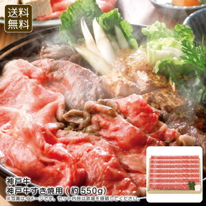 y{20:00X^[gIő50%OFFN[|zzzҏI_ˋ_ˋėp(550g) Ă ґ fBi[ Ƒ j v[g j Ԃ LOi ii p