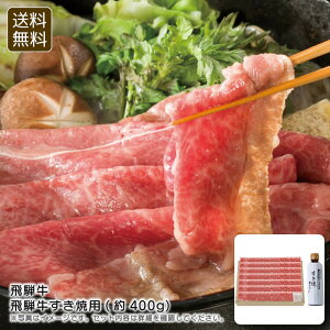 y5%off/2_ȏ/ȃN[|zzzSiΏہˋˋėp(400g)ґ aH p[eB[ ĂȂ [H j v[g j Ԃ LOi ii p̏i