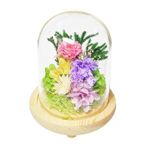 y|Cg5{/ő25%OFFN[|zzzҏ菤i KXh[AWgԏdi͂ȂjsN izpjKXh[ ԃAWg sN 