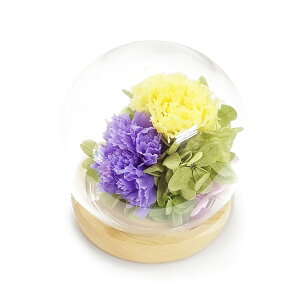 XtBAh[AWgDi䂤jCG[{p[v izpjXtBAh[ AWg vU[uh t[ CG[