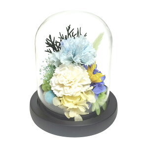 KXh[AWgi݂jzCg izpjvU[uht[ h[AWg KX zCg z