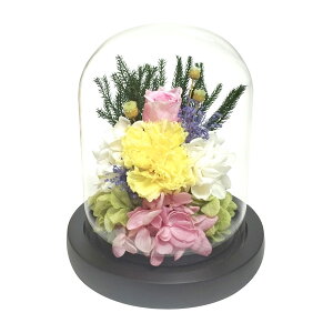 KXh[AWgˏi݁jCG[ izpjKXh[ AWg vU[uh t[ CG[