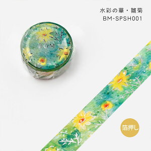 BGM }XLOe[v  20mm 2cm 2Z` XyV Special ʂ̉ e 闖  z ԏҊ KN  T r[W[G }Xe 蒠 Mtg