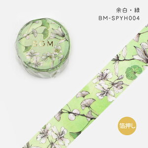 BGM }XLOe[v XyV Special  20mm 2cm 20~ ]E ]E ]E ]E }Xe r[W[G