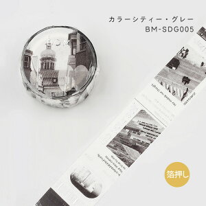 BGM }XLOe[v Special  J[VeB[ 20mm 2cm 2Z` CG[ p[v bh O[ O[ u[ ʐ^ r[W[G 蒠 Mtg