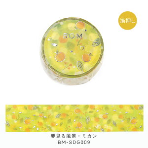 BGM }XLOe[v 20mm 2.0cm 2Z` 20~ 镗i   ~J @r  NQ }Xe r[W[G