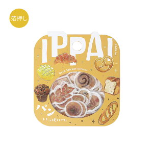BGM r[W[G t[NV[ IPPAI Vol.2  15fUCx3 (45) C̐ςł  Jso َq p V a V[ MtgJ[h 蒠 R[W f Hו F