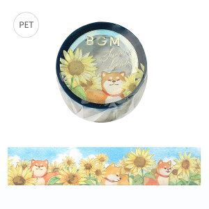 BGM r[W[G NAe[v Č 2025 Limited 20mm 2cm 2Z` 20~ p[S̉̔L ƂЂ܂ JtP ACX l } ċ  Mtg J[h 蒠 R[W f