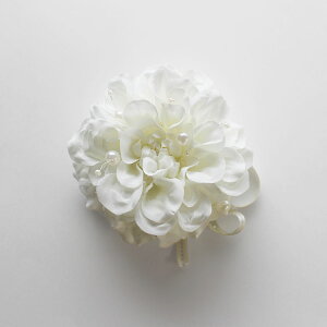 yN[|&|Cgő47{!2701:59܂ŁzRT[W wAANZT[ _Ap[ ANZT[   Ǝ w Mtg