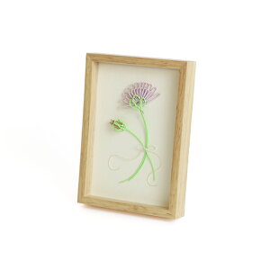 hare t[ V[Y ߋ̃t[   {̍s ߕ ̓̃J[l[Vt[    n  {   HARE Mizuhiki Frame paper strap