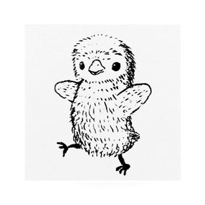 peBVGnlY~ X^v 20×20mm ̃OX v ACXN[ Ђ悱̃`bv yM̃sbs zbgP[L N[v 킢  J͂ 蒠 J