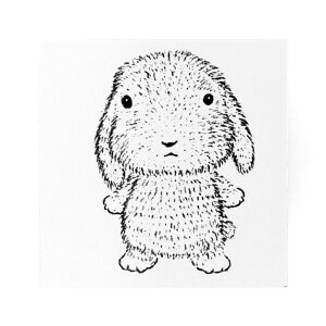 peBVGnlY~ X^v 20×20mm ̃OX v ACXN[ Ђ悱̃`bv yM̃sbs x[pC R Jp[j Hp zbgP[L N[v