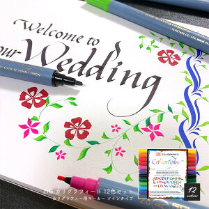 yN[|&}Xe̓!1101:59܂Łzꂽ | ZIG JOtB[2 JOtB[p}[J[ cC^Cv TC-3100/12V 12FZbg J[y